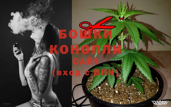 2c-b Горнозаводск