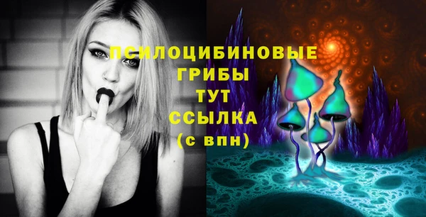 амфетамин Гусев