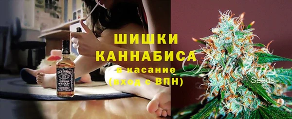 2c-b Горнозаводск