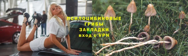 2c-b Горнозаводск