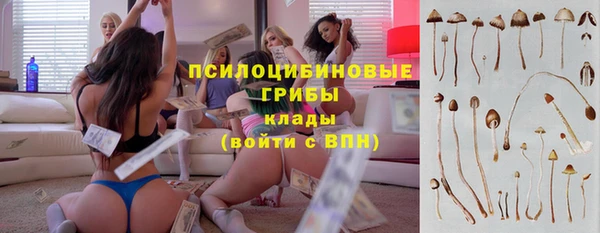 каннабис Горно-Алтайск